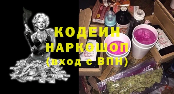 шишки Богородицк